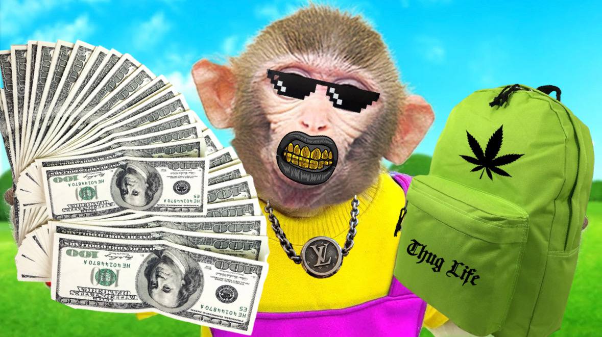 <a href="/digitalartchick/">Artchick (ETH/acc) 🔥👠</a> $hooray community pushing, making funny memes, and working on a fresh website, 2M subscribers on utube

150K mc
B8rhn9fer7GmivNsXVuKbgW6iGNKfvBgNGDdg7x25zC2

<a href="/hooraymonkey/">Hooray - Backpack Monkey 🐒🎒</a>