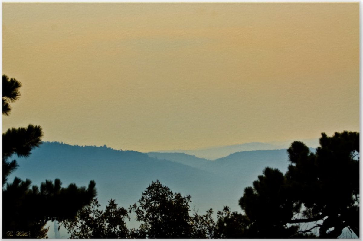 ⛅🌱🌄🌿❄🗻🌏 Foggy Mountains #surreal Lemon #Sunrise #poster zazzle.com/foggy_mountain… #Posters #art #PhotographyIsArt #photography #giftideas #gifts #onlineshopping #wallartforsale #homedecor #shopsmall #wallart #homedecor #homedecoration #smallbiz