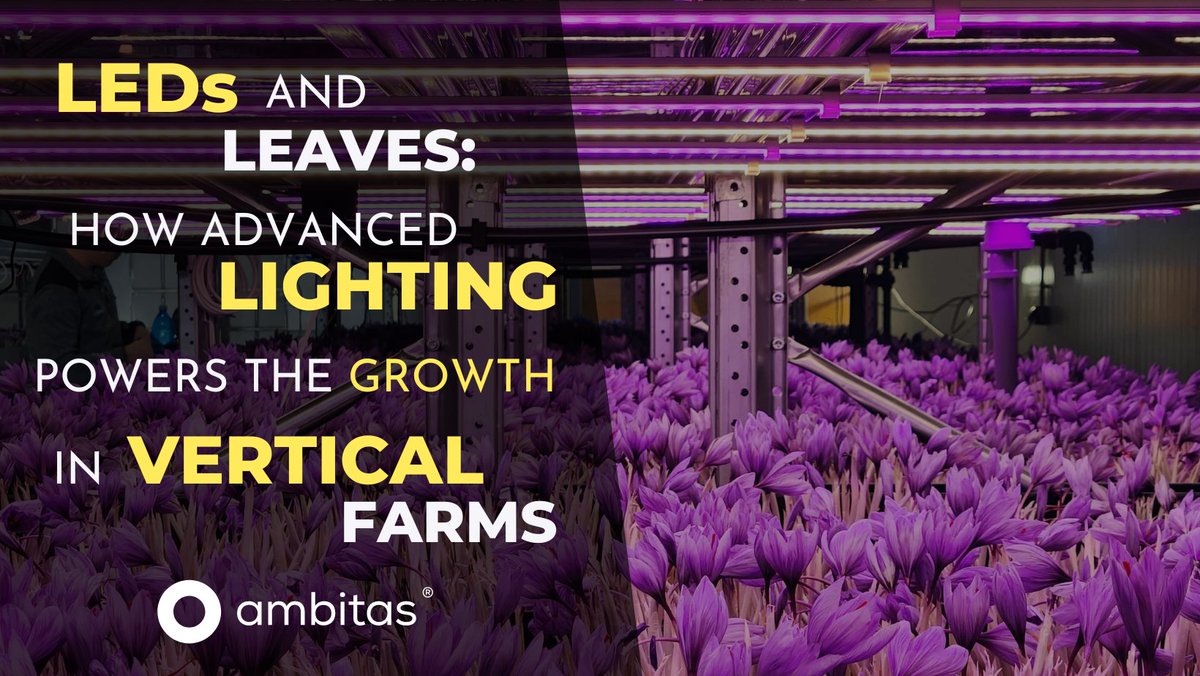 ambitas's tweet image. advanced LED lighting is truly transforming vertical farming! dive into our newest article to discover why it&apos;s essential for urban agriculture.

read here: ambitas.org/blog/leds-and-…

#iot #internetofthings #iotengineering #urbanfarming #verticalfarming #iotcompany #iotsensors