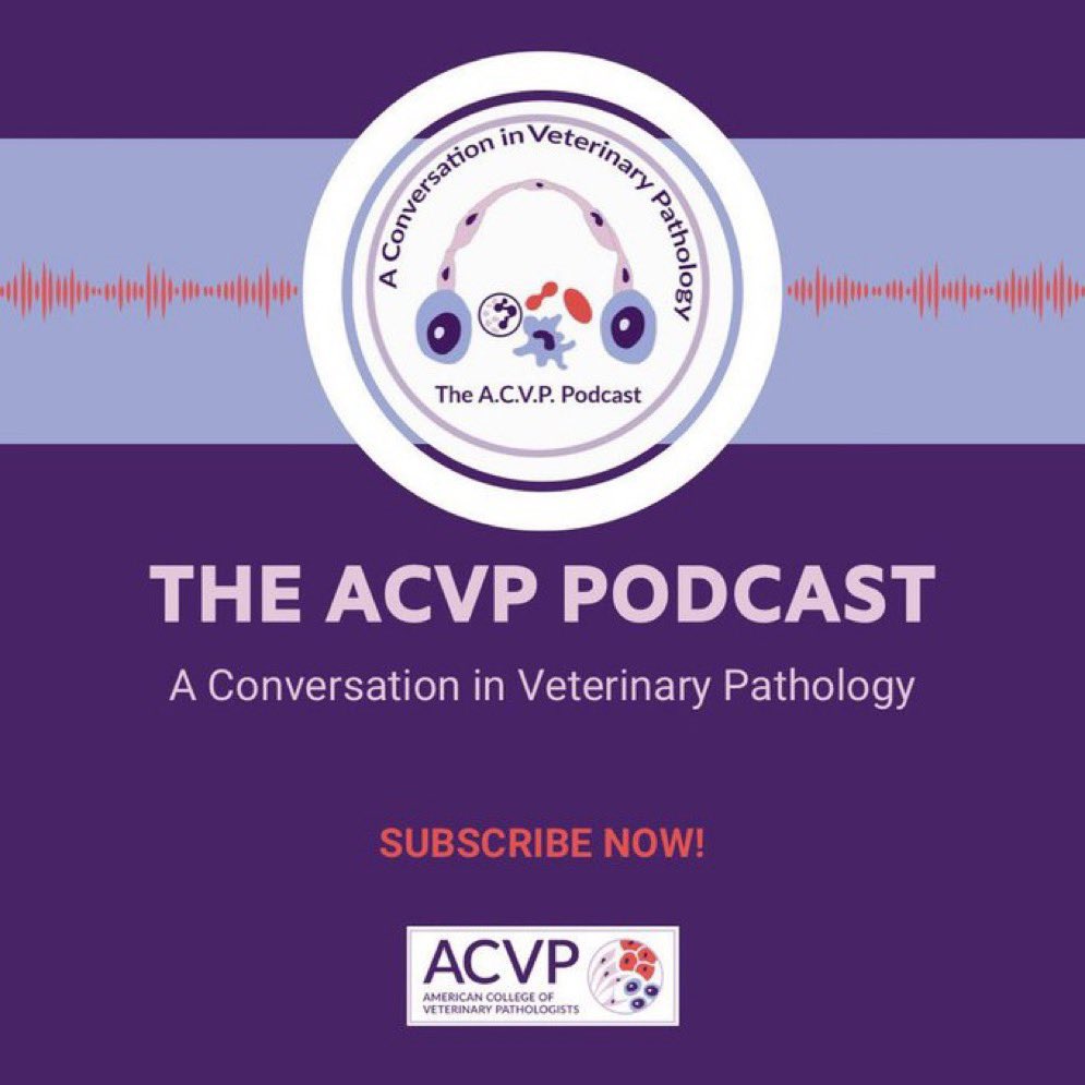 Have you subscribed to our fabulous podcast, yet? In this episode, Dr Craig Miller talks about how ACVP’s Advocacy and Policy Committee serves as a voice for veterinary pathologists. Listen on the go! 🎧bit.ly/3VgqqAF