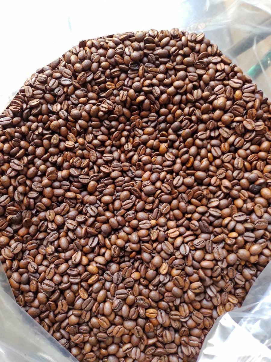 GiocondaCoffee's tweet photo. ***Delicioso #Cafe arábico, de altura de Chiapas***

Tostado ideal para percoladora, olla o cafetera casera.

*Presentación: molido

1 kg- $260
500 gr - $160

Entrega en #Tejalpa centro o Paseos del Río (#EmilianoZapata) https://t.co/VZ0KXCqy4v