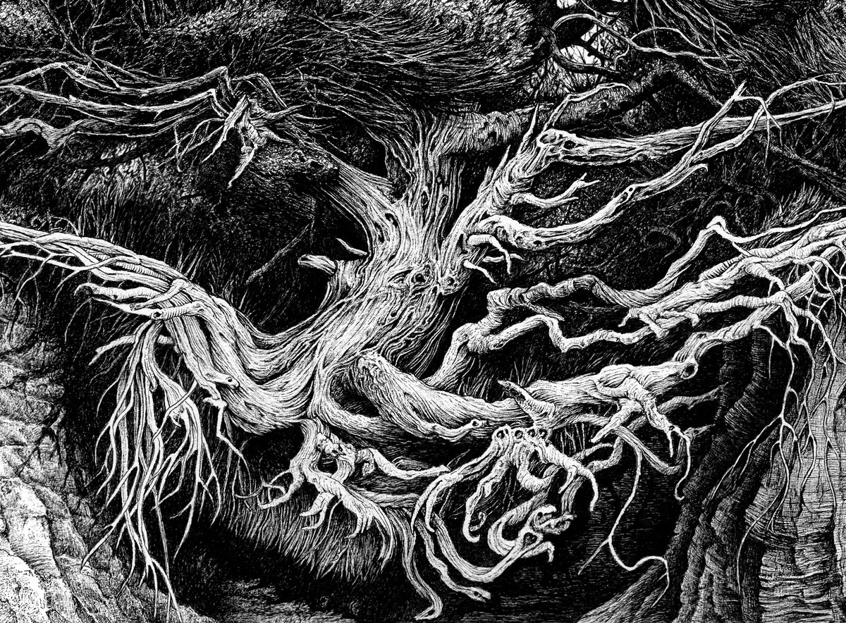 Tree roots are like ppl. So tangled and complicated and u never know their true intentions until they're in complete despair.