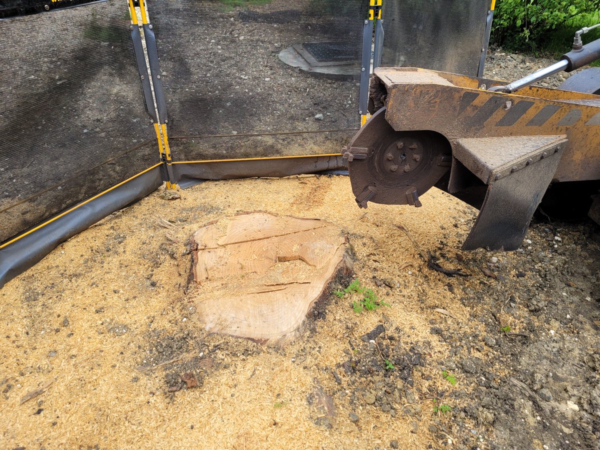 TreeGrinding tweet picture