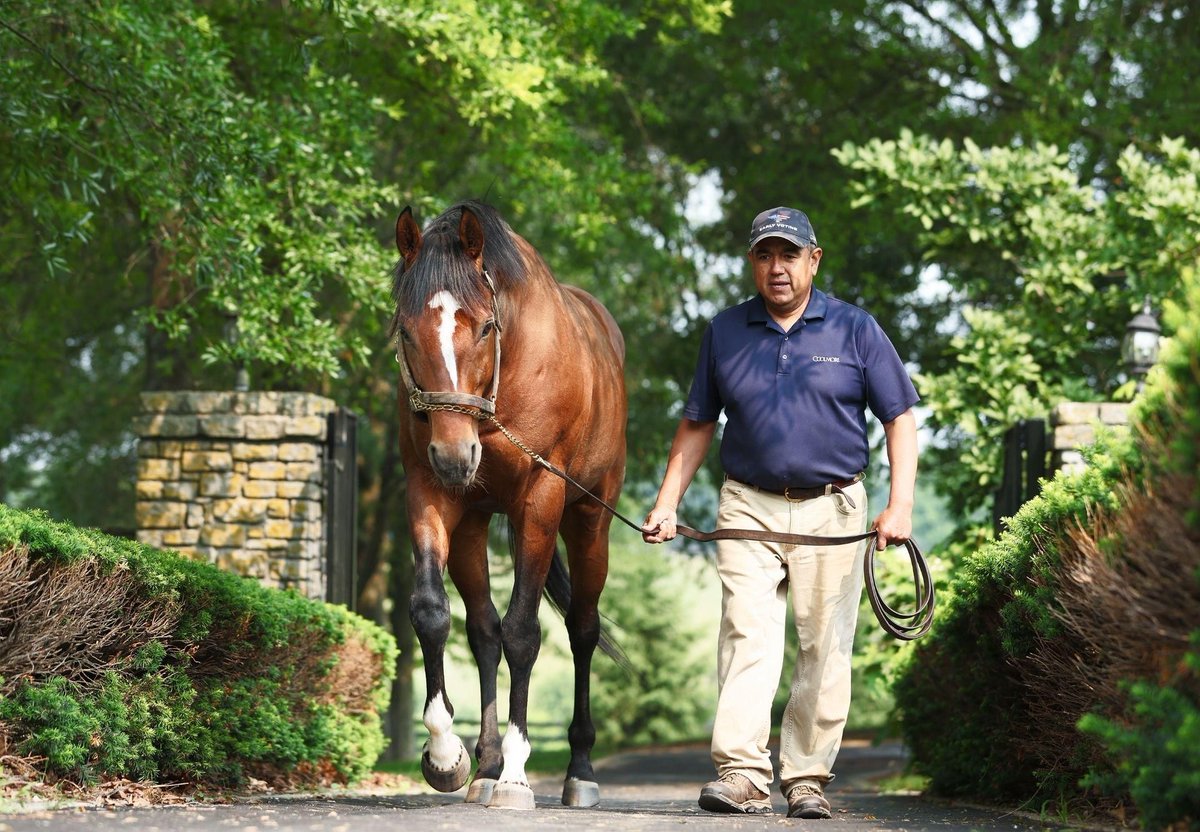 Maximum Security Duo in Offer at Fasig-Tipton Midlantic. Champion Maximum Security has seen his first juveniles sell for up to $230,000 this year and two more... bit.ly/3WLQlkw