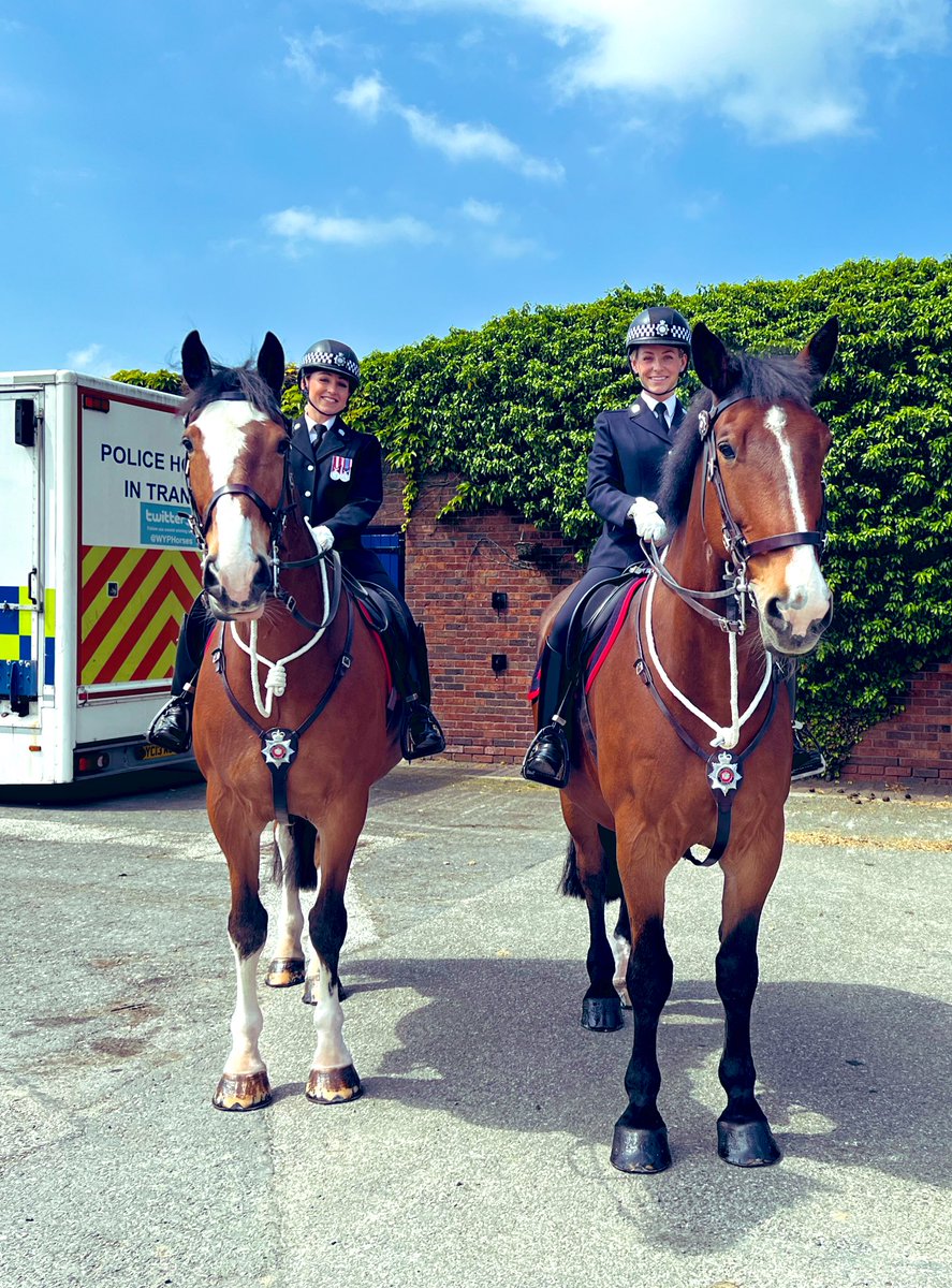 The old boys put on their best clobber today to meet & greet those attending the Long Service Awards. PH Ledston & George looking very handsome #policeawards #longservice #wyp #wyphorses