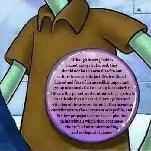 🔻moss⚧☣⚠ (@frickthatkid) on Twitter photo 