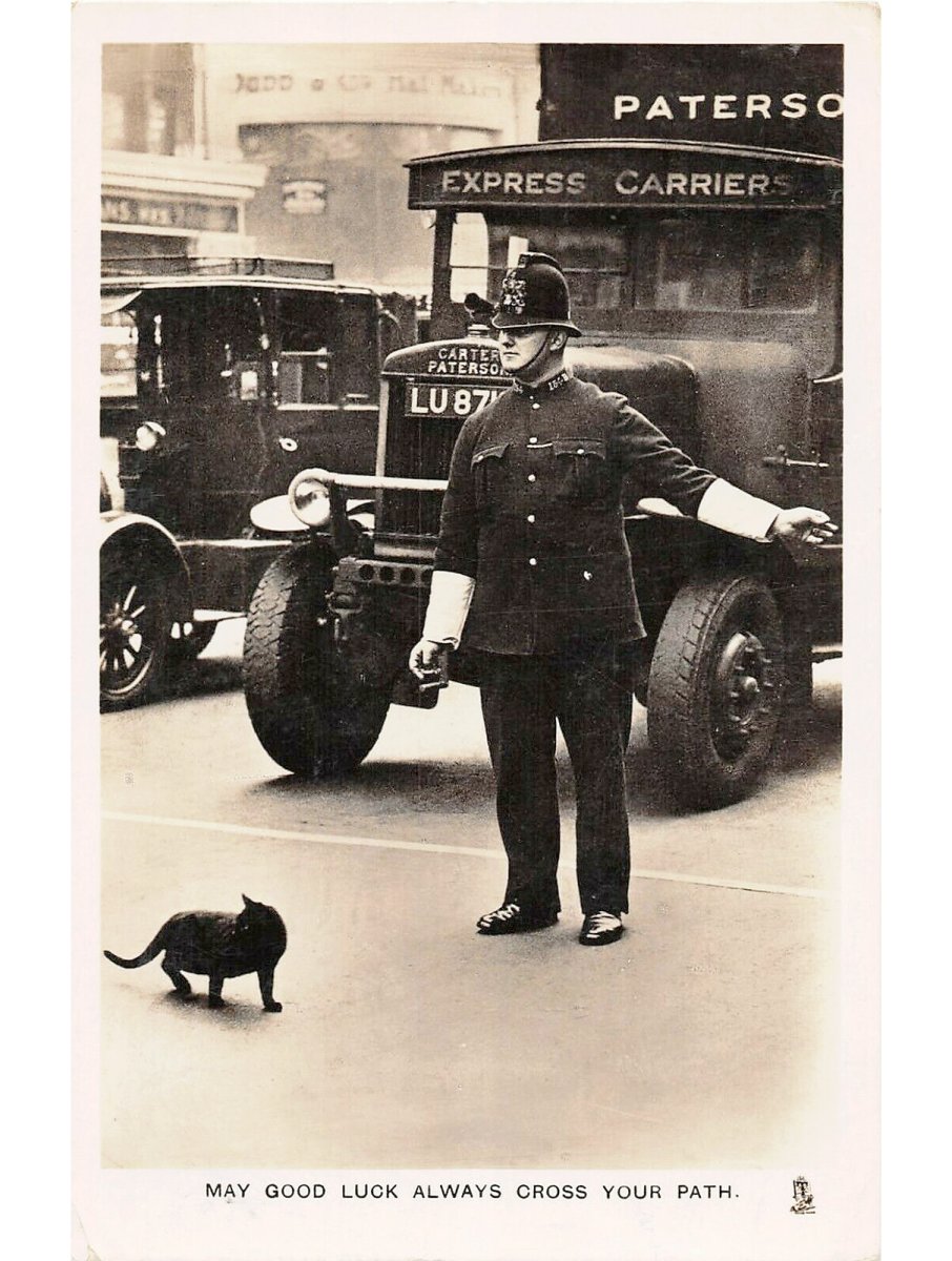 It's nice to get a helping hand from the law on #Caturday. #Cats #police #Postcards #Postcard #OldPostcards #CatsOfTwitter