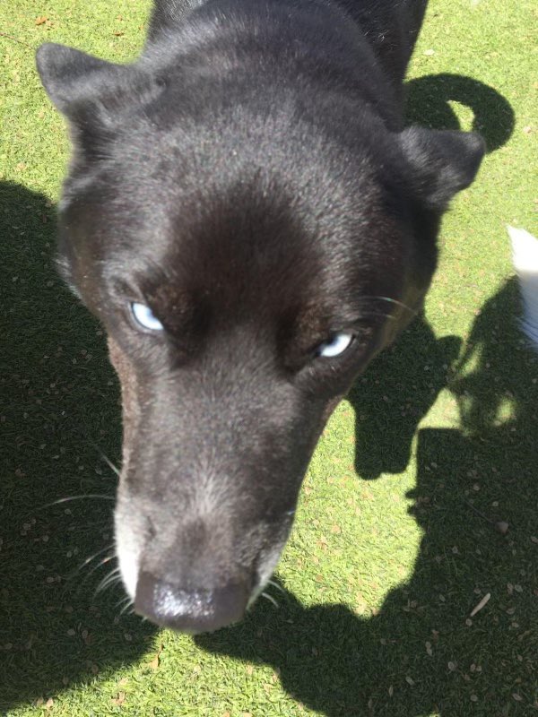 Anne Wilsman tweet media