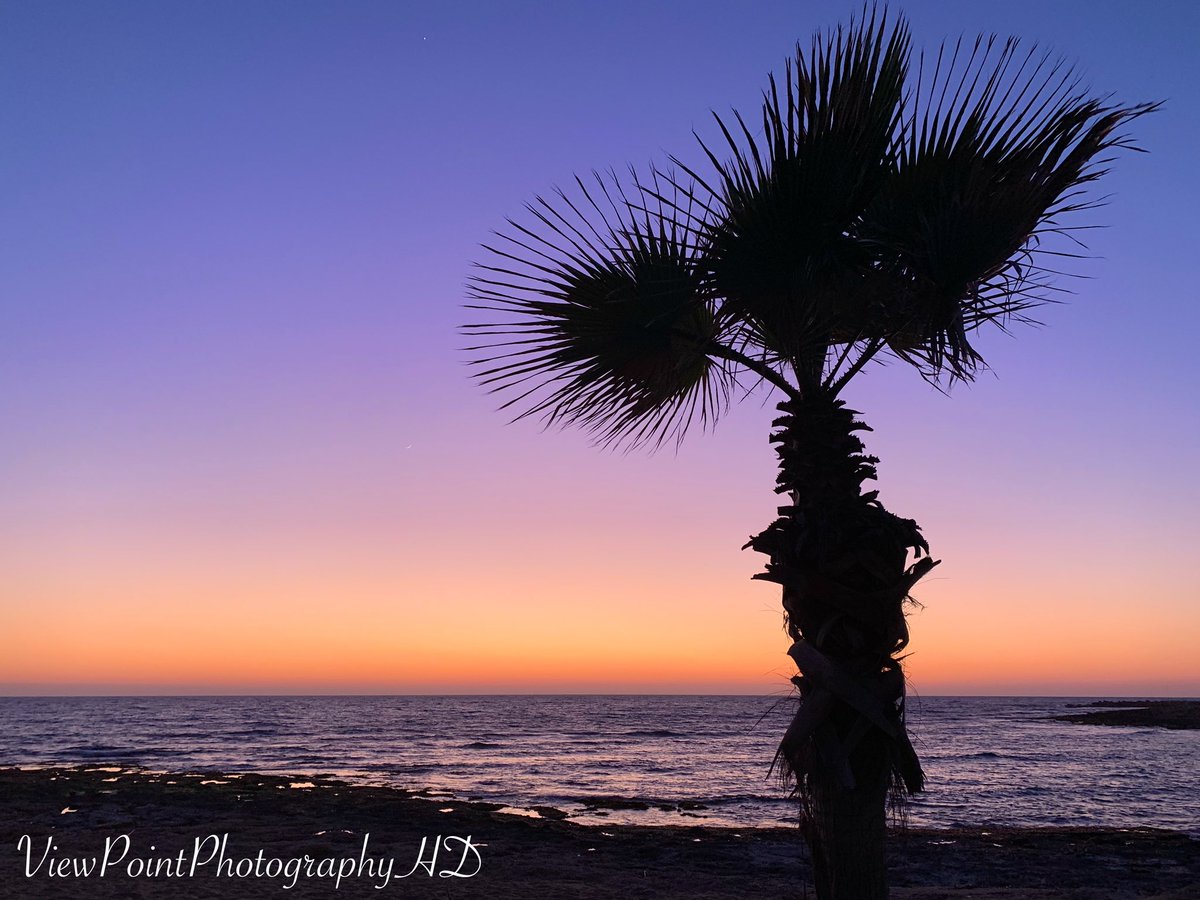 🇨🇾📱#Paphos #Cyprus #Island #Beach #Sunset #SunsetSky #Sea #Silhouette #SilhouettePhotography #PalmTree #PinkSky #Scenic #Landscape #Seascape #Nature #Amazing #Sights #Sightseeing #Travel #Europe #Holiday #Paradise #BeachPhotography #Photography #ViewPointPhotographyHD #Share