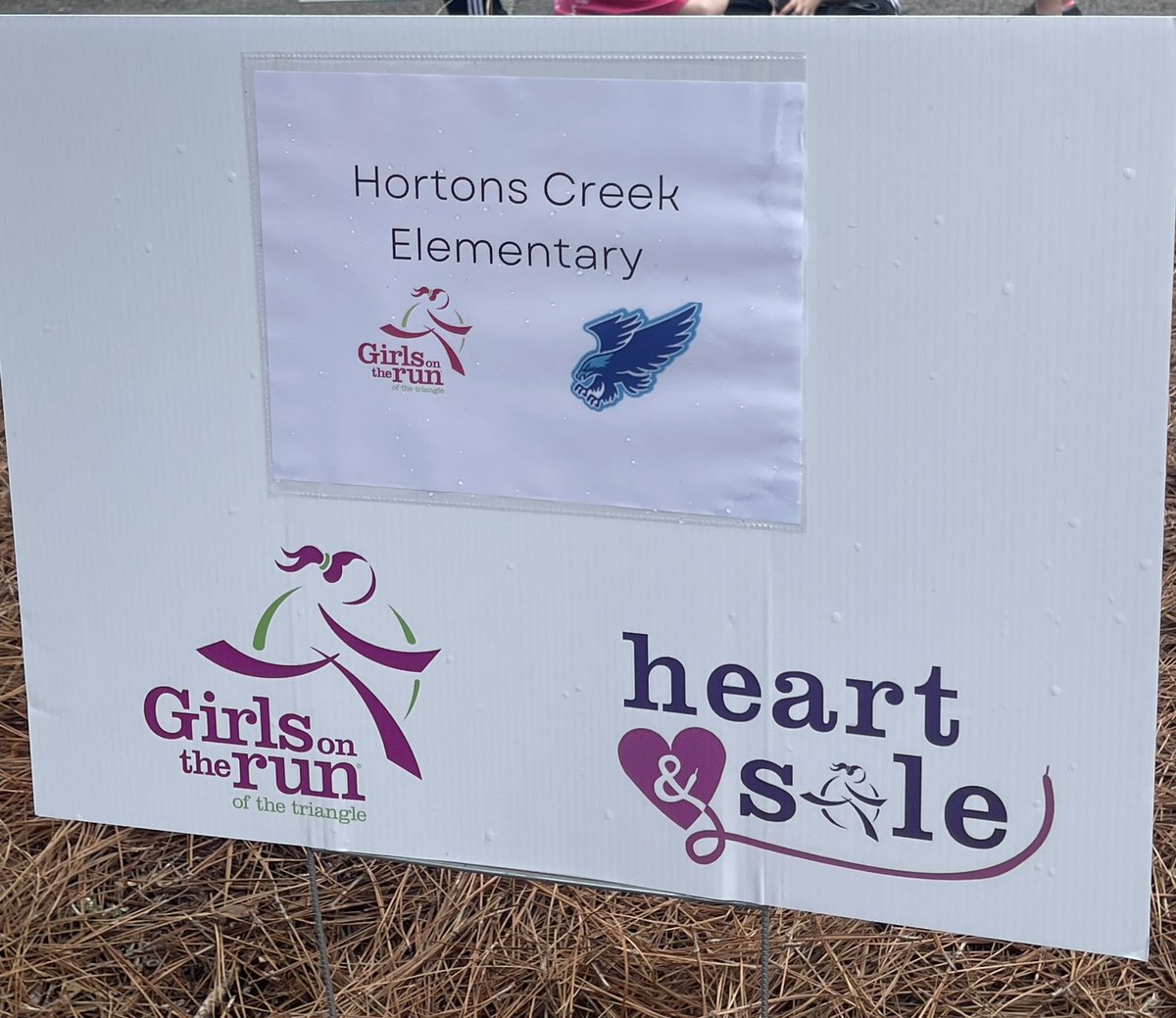 So proud of our @HortonsCreekES @GOTRTriangle team that ran the end of season 5k today! We had a great season and so thankful for Coach @TiffCooper123 for her leadership this season! #togetherisbetter More pics to come!