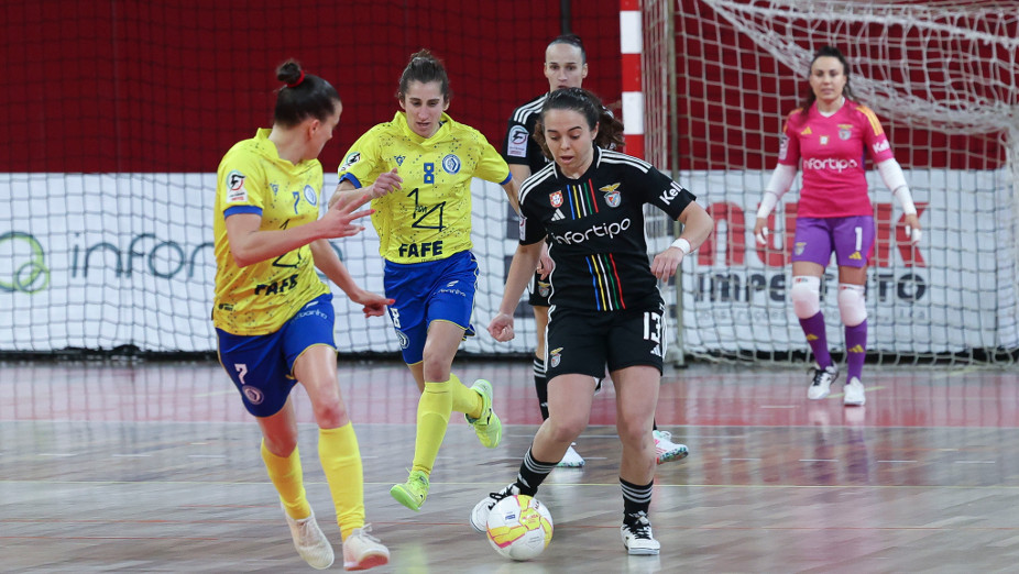 SL Benfica Futsal Feminino tweet media