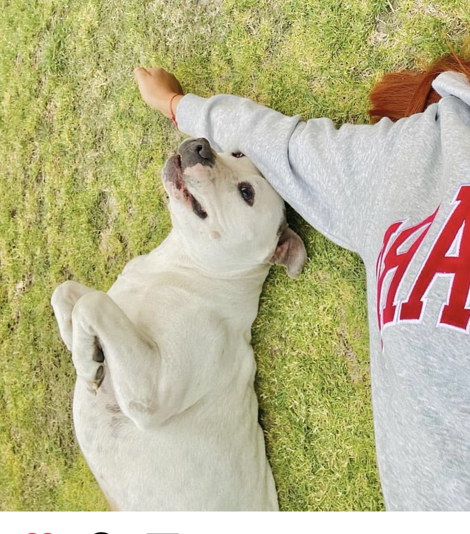 Persona horrible que abandonaste a Aceituno a su suerte en Veracruz después de ser rescatado y ya haber vivido un infierno: que sepas que movimos cielo mar y tierra para que volviera a ser feliz y amado, a pesar de ti

Y lo logramos.