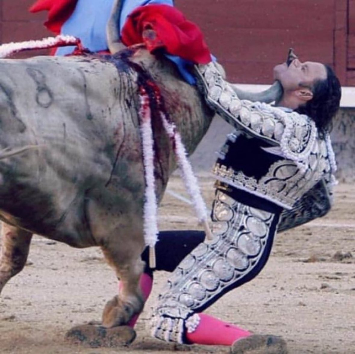 Me asusta tanto la gente que esta en contra de la tauromaquia como los q festejan la muerte o sufrimiento del torero! 😢