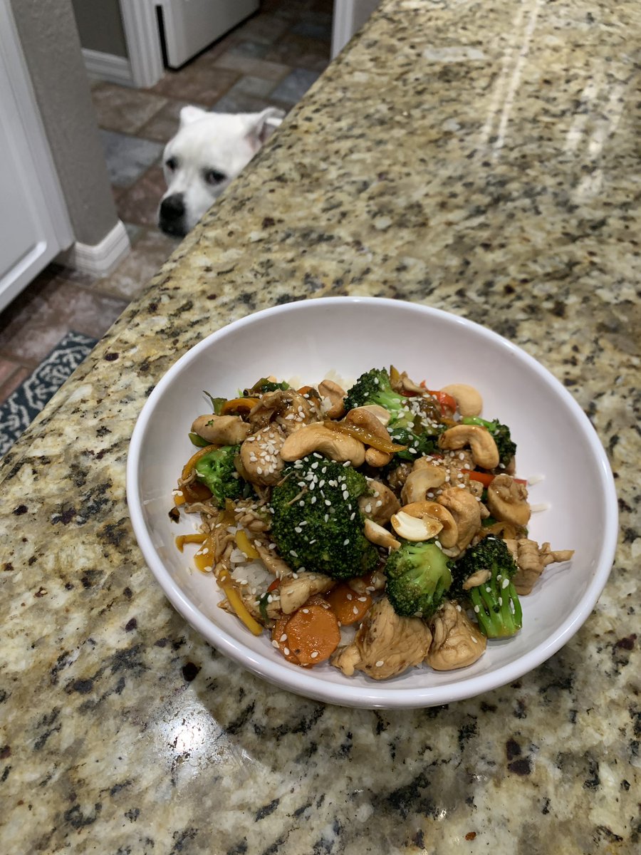 Chicken stir fry with a side of chicken dog scared of the thunder ⛈️