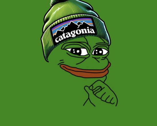 Catagonia tweet media