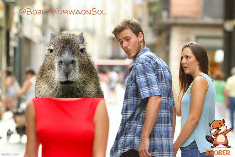 Saife_Sound's tweet photo. @ThaMachineOwner @MrZackMorris @BoberKurwaonSol Check out @BoberKurwaonSol 

Kindest community and lots of #Bobers 🦫 https://t.co/9llzx1EUQU