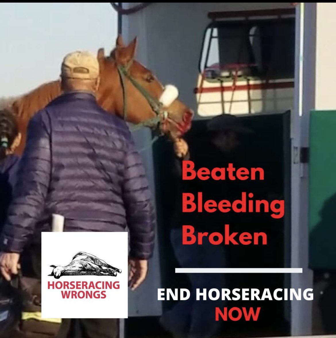 ❌🏇❌Most racehorses are bought and sold several times over during the course of their so-called careers – traded and treated like common Amazon products. #EndHorseracing #Preakness149 #PreaknessStakes #Preakness #PreaknessStakes2024 #EndHorseracing #HorseracingKillsHorses