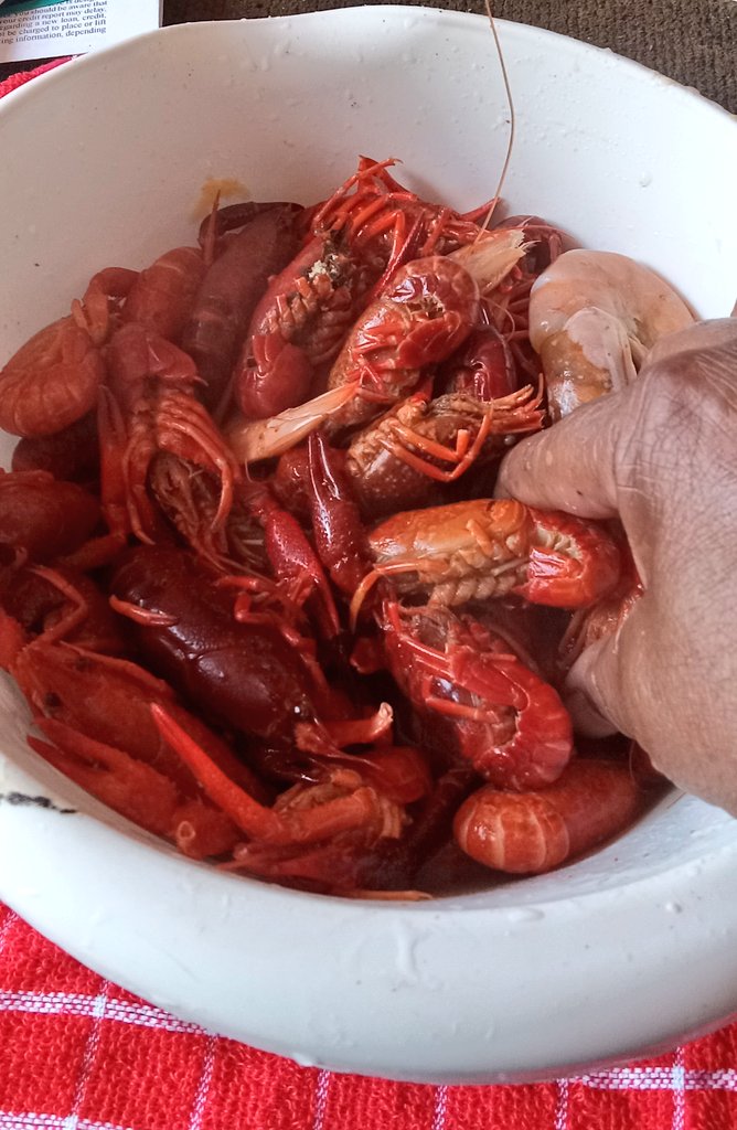 Grandma Nation tweet media