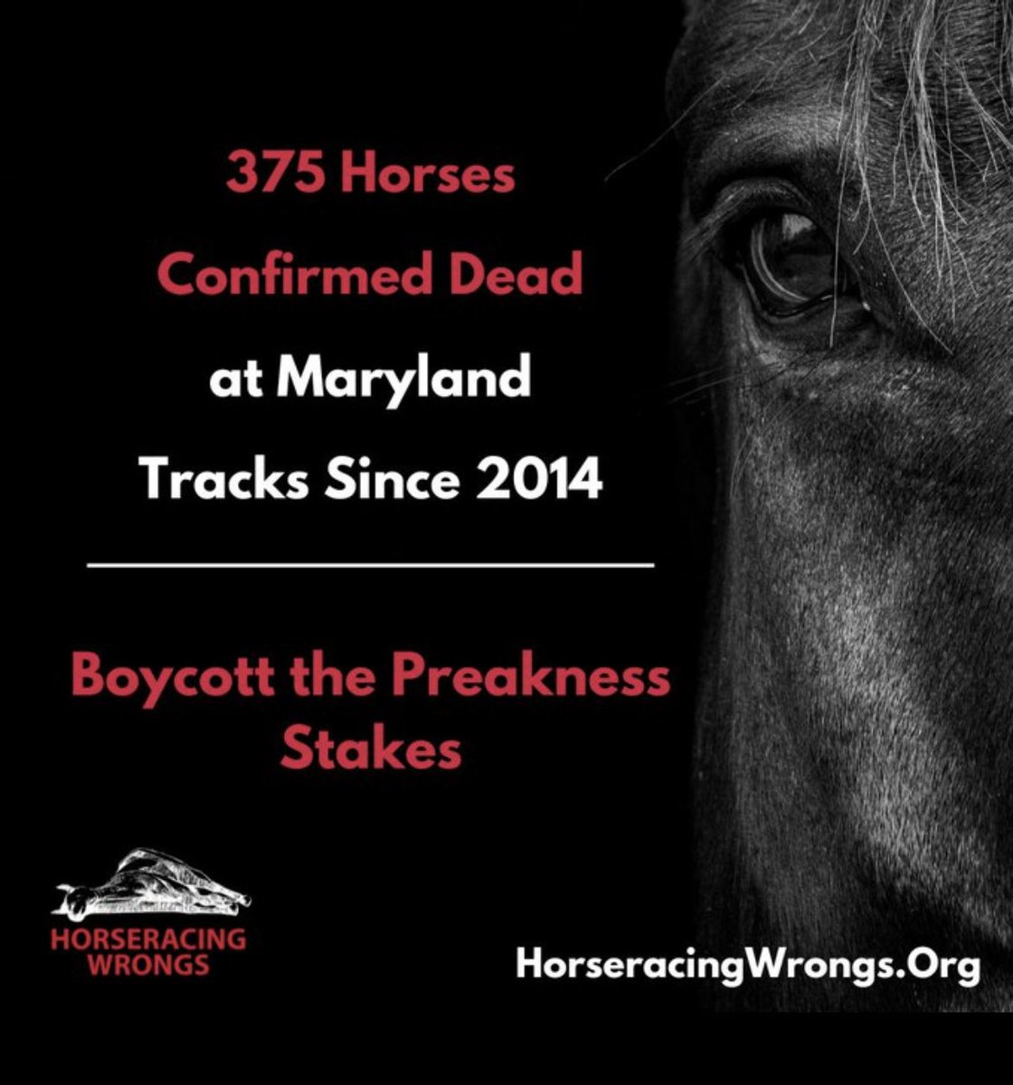 🏇🔚Horseracing is #AnimalCruelty & #AnimalAbuse
#Preakness149 #PreaknessStakes #PreaknessStakes2024 #Preakness #EndHorseracing #HorseracingKillsHorses #Preakness2024 ❌🏇❌🏇❌