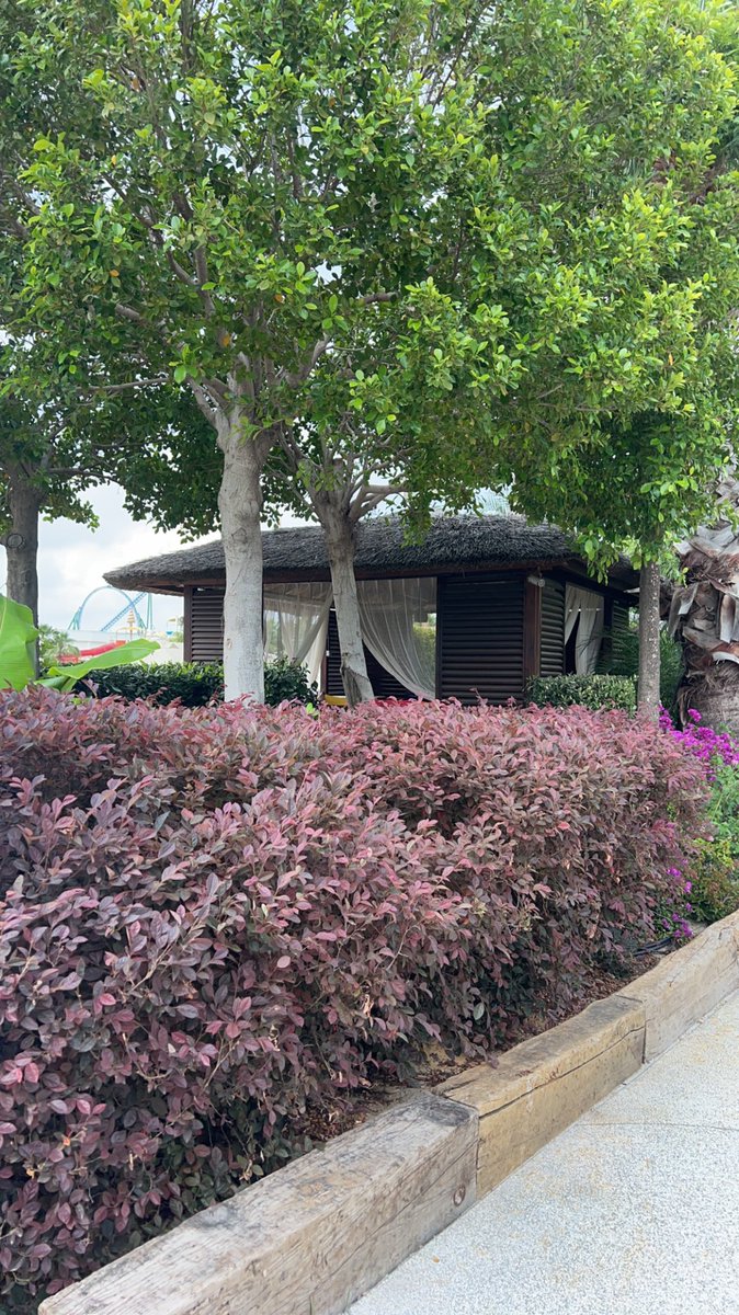 اللهم أجبر خاطري جبراً يتعجب به أهل السموات والارض 🤍😔

#صباح__الخيرِ