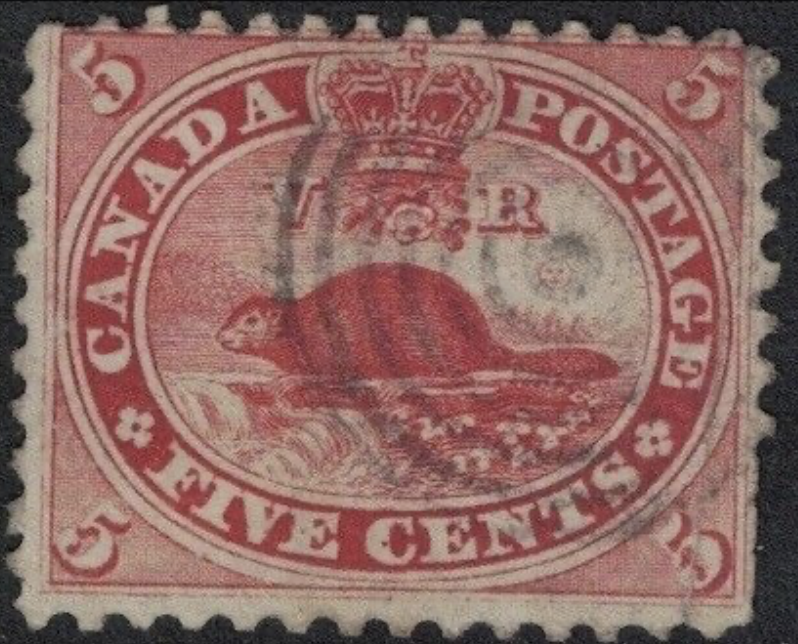 AnneLouiseAvery's tweet photo. Humming a jaunty tune to himself, the Elderly Squirrel had taken his large collection of stamp albums to Old Fox's cottage to show to Grand-cub. There were seventeen volumes, amassed over many years and many travels and many seismic shifts  in borders and the etching and blotting of states and nations. There were stamps from Moldo-Wallachia boasting fierce and noble aurochs and ink-blue and cedar and green stamps from Japan depicting kindly dragons poised in mid-air. Russian stamps roaring with fashionable Fokker aeroplanes and New Brunswick stamps with beavers demonstrating the high art of Canadian dam building. Grand-cub was entranced and Wolf was beside himself with excitement, tracing half-forgotten journeys through the Balkans in postal marks and faded vermillion patches.