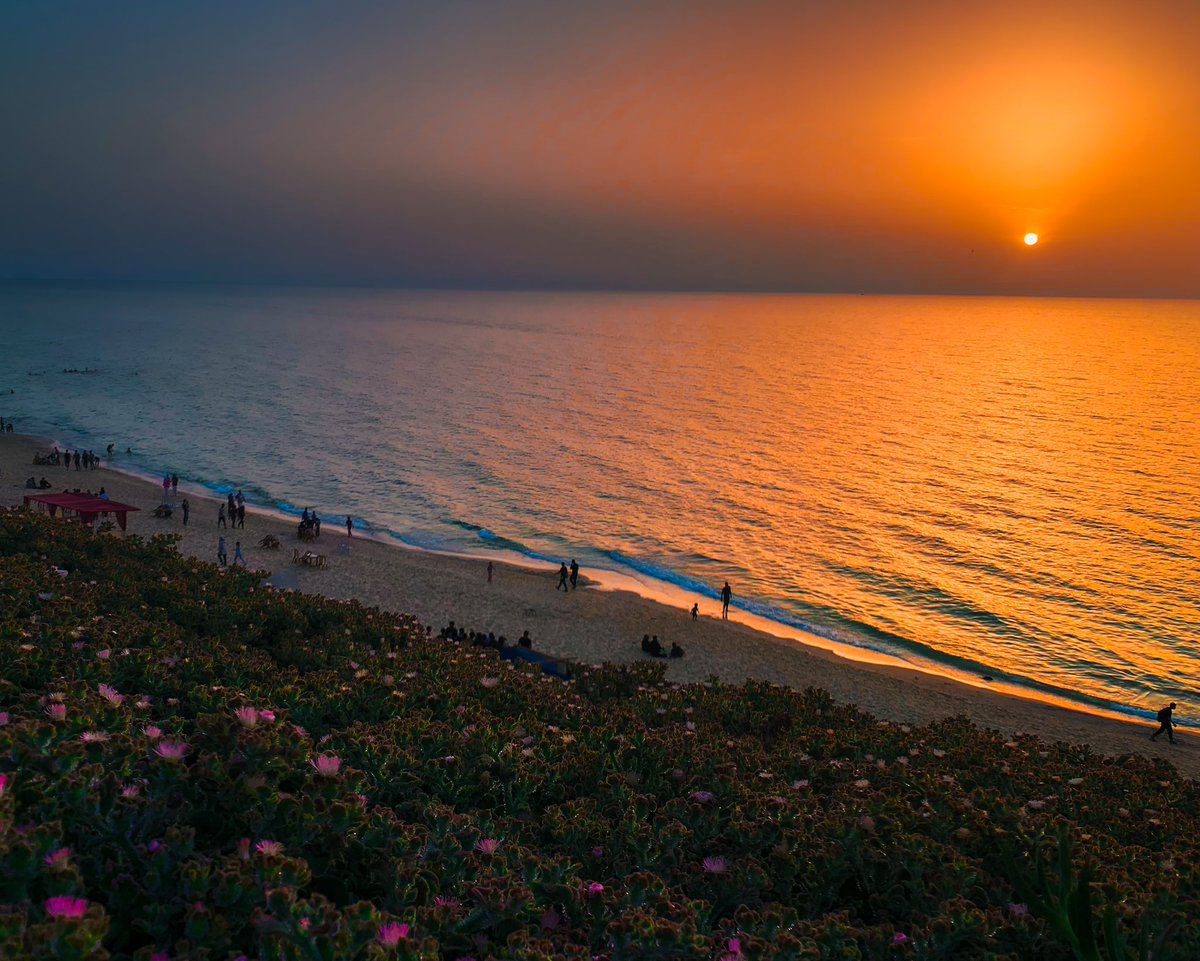 From the river to the sea, Palestine will be free. ❤️🇵🇸