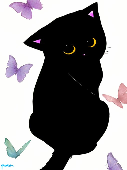 「獣娘 黒猫」のTwitter画像/イラスト(新着)