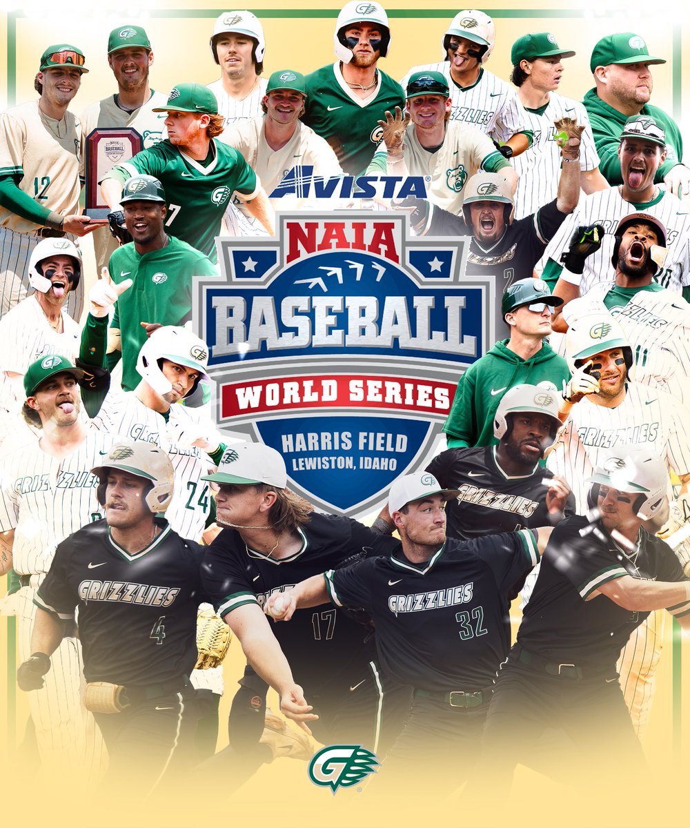 𝑮𝒂𝒏𝒈 𝒊𝒔 𝒂𝒍𝒍 𝒉𝒆𝒓𝒆