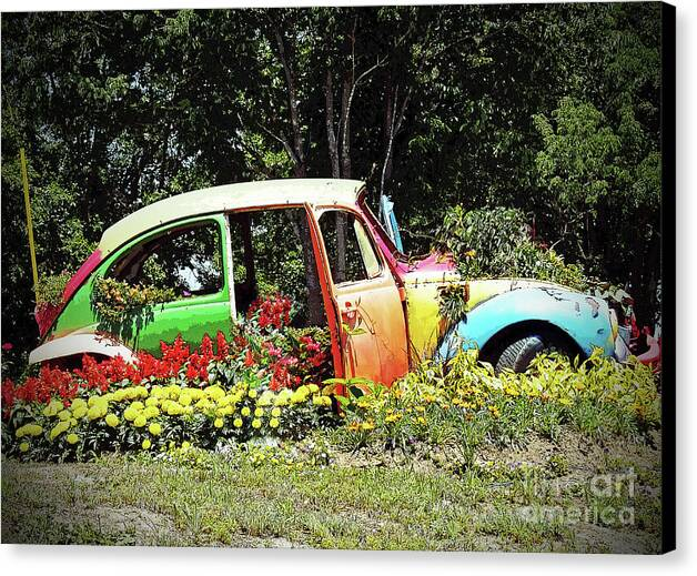 fineartamerica.com/featured/the-b… #cars #botanical #garden #landscape #photography #beetle The Botanical Beetle Series