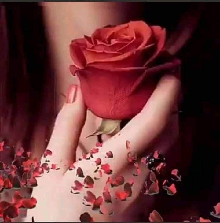 ♛الہٰملہٰكہٰه•مہريہمہ♛ tweet media