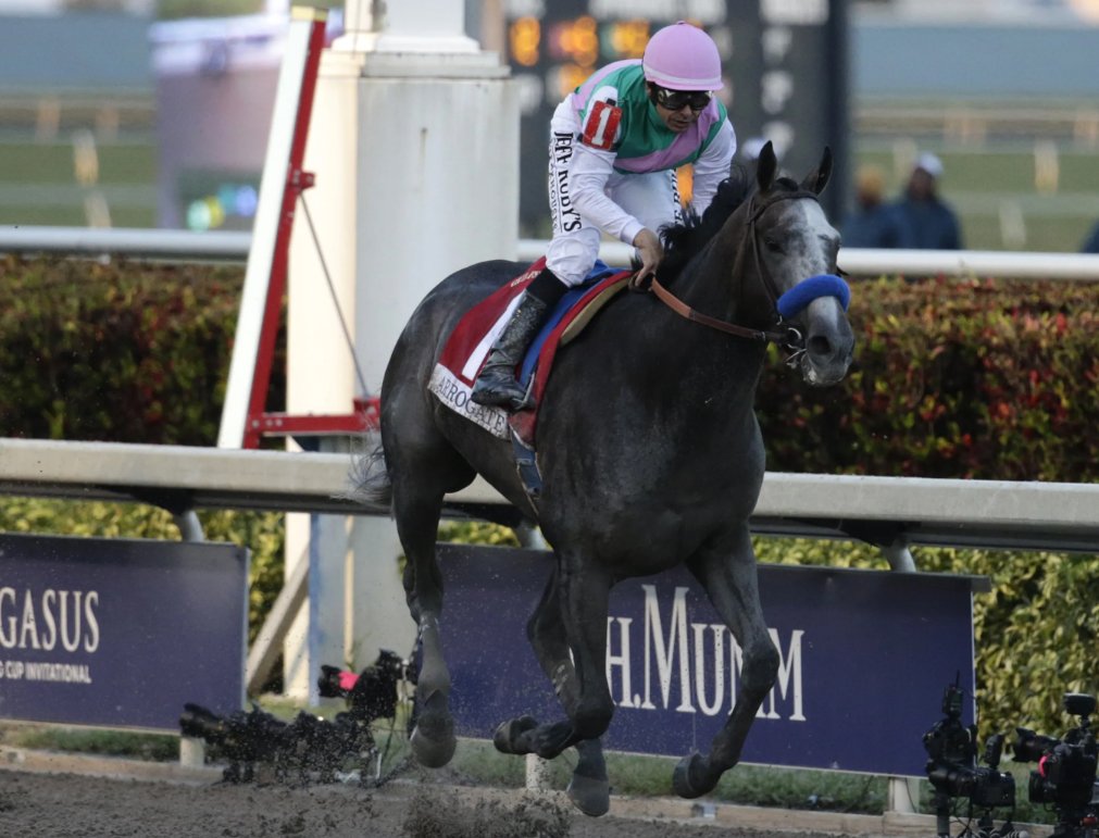 Oh Arrogate !!! What a sire. What a loss to the industry. 

His son SEIZE THE GREY is the 2024 winner of the Gr1 Preakness Stakes.