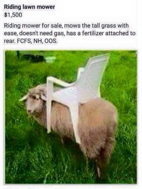 I don't know anything about homesteading. Is this the lawnmower y'all use?