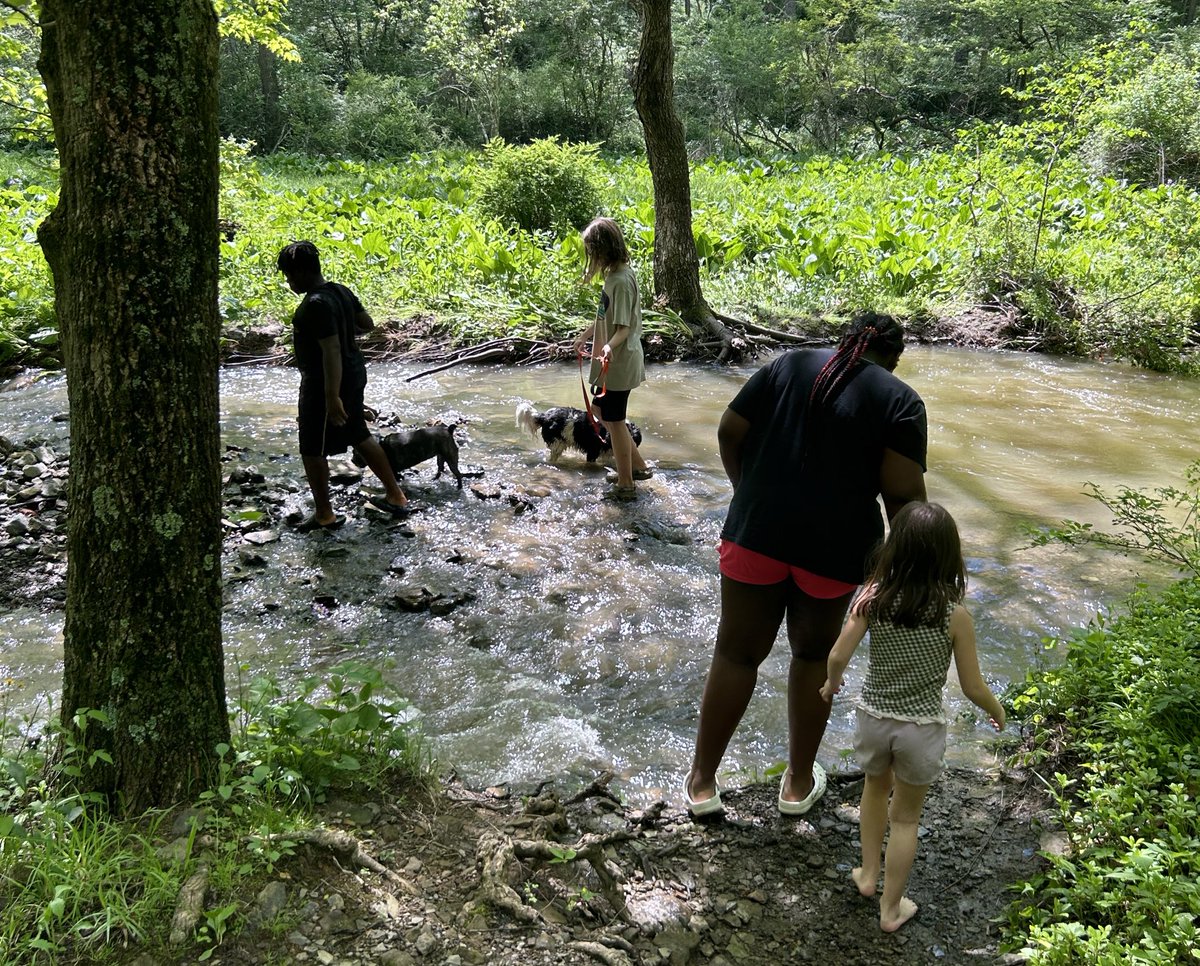 When everyone is battling — with siblings, peers, parents — just take them in the woods. Not a battle for hours ❤️❤️ (Except over if we should get Kool Kones or Bruster’s after🍦
