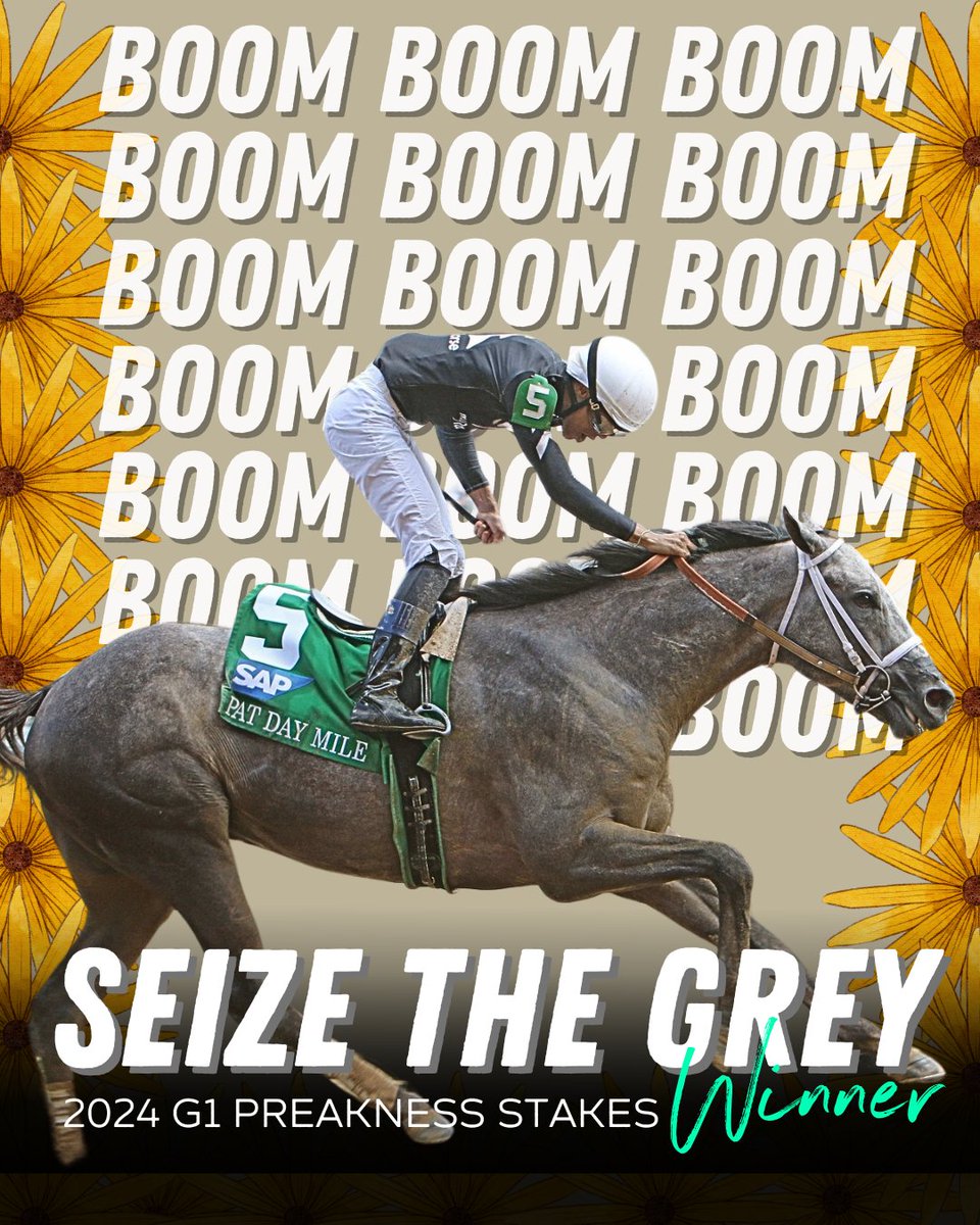 WE JUST WON THE PREAKNESS! SEIZE THE GREY IS YOUR 2024 PREAKNESS WINNER. Congrats to all owners!!!!🏆🌻