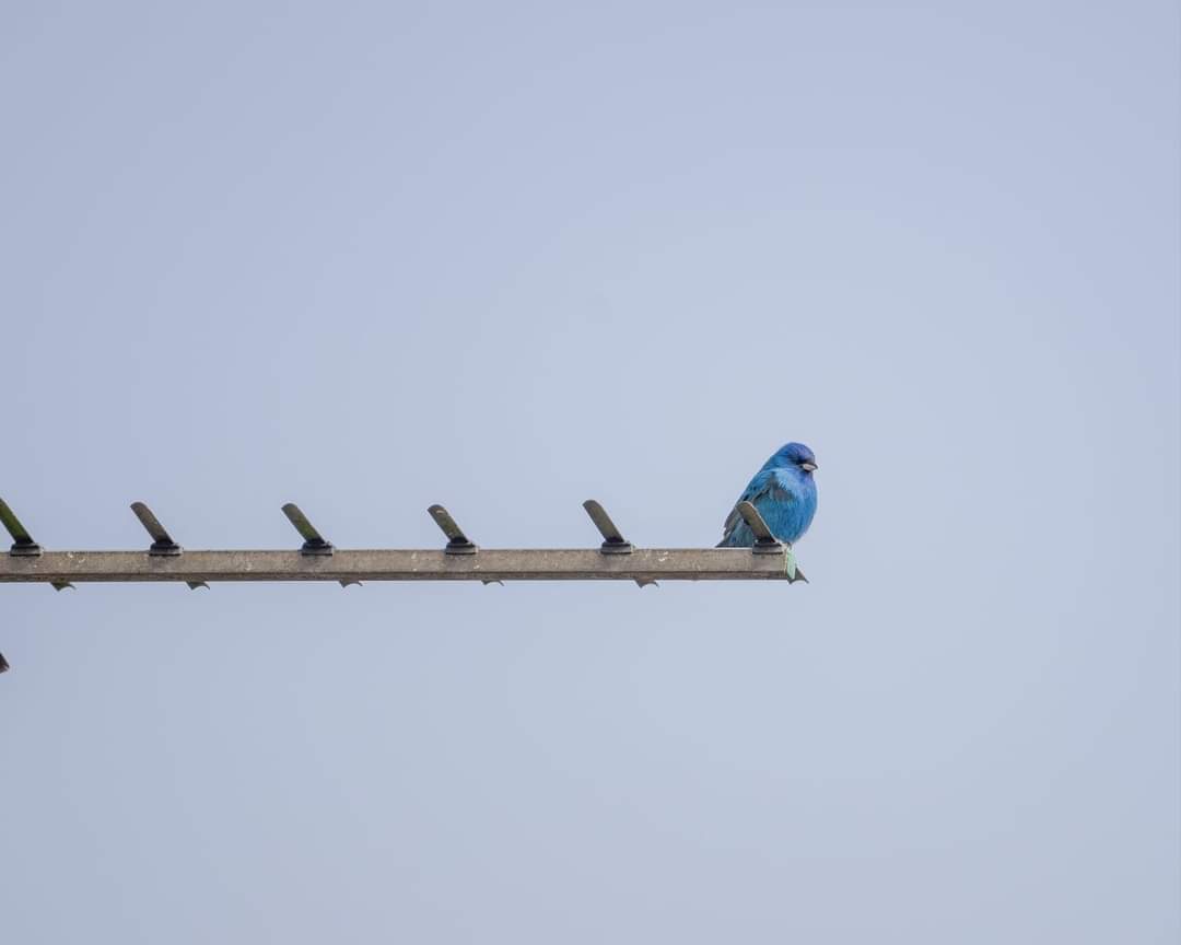 Wayne Glossop tweet media