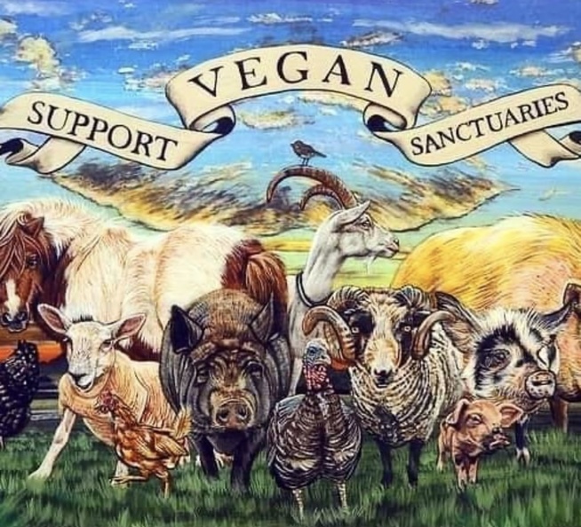 Vegan Future (@veganfuture) on Twitter photo 2024-05-19 03:21:00