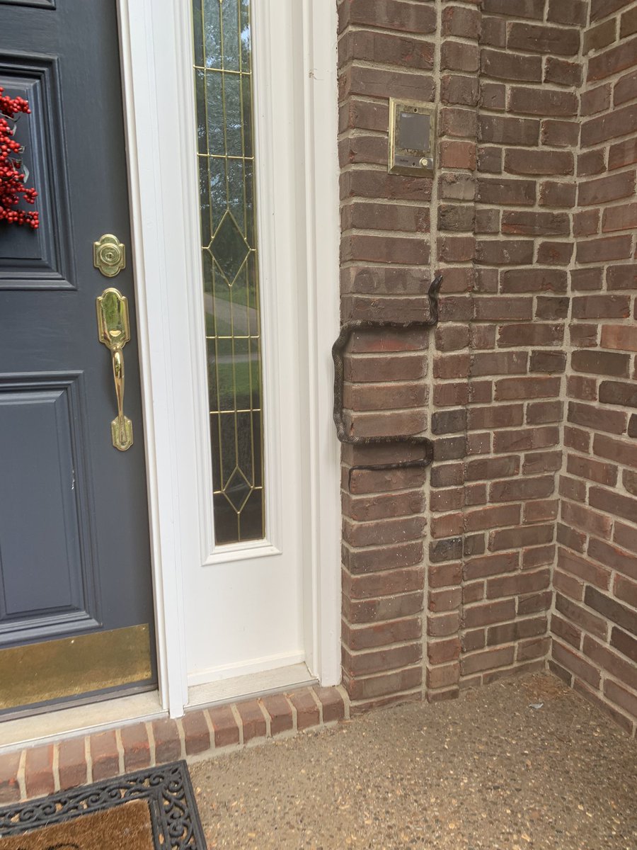 Eric Michalsen tweet media