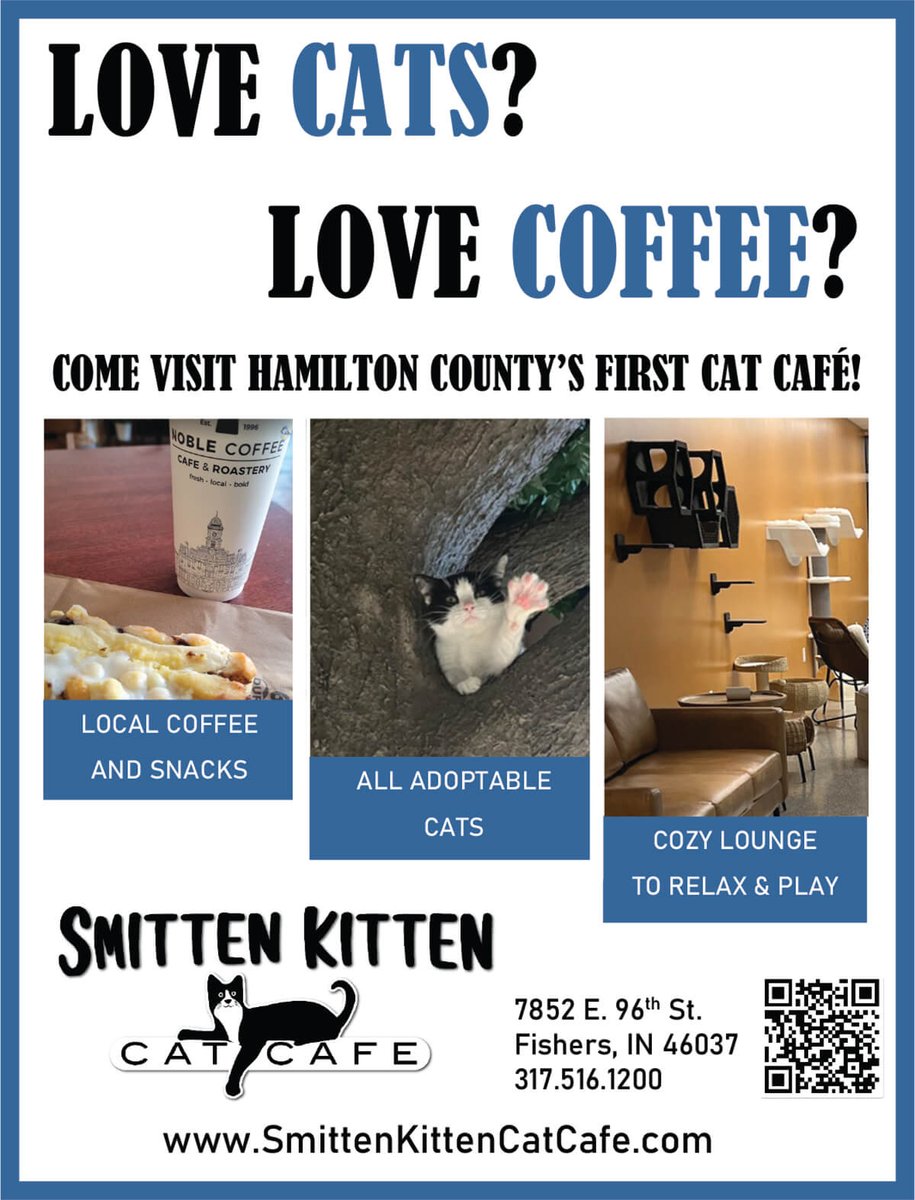 ☕😻Love coffee? Love cats? It sounds like the Smitten Kitten might be for you! We're certain you'll have some of the cutest coffee companions available anywhere!☕😻