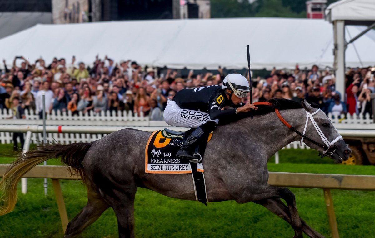 Seize the Grey captures the 149th Preakness Stakes!
