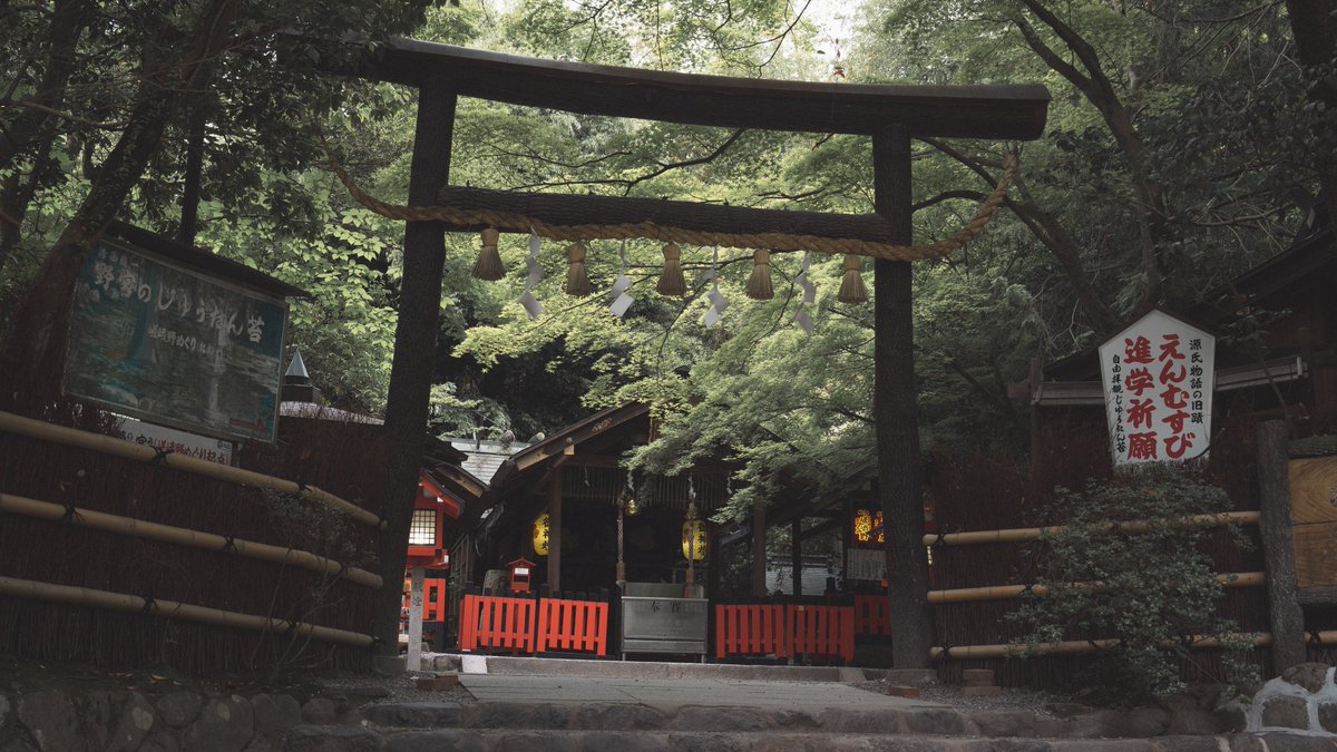 嵯峨野にある竹林の小径と野宮神社
#写真好きな人と繋がりたい
#これソニーで撮りました
#SonyAlpha
#α7IV