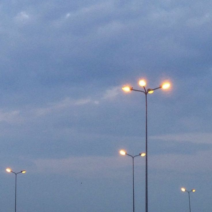 lichxly's tweet image. - HILO DE COMO STANEAR A ARIANA GRANDE 

#arianagrande #arianator #aritwt