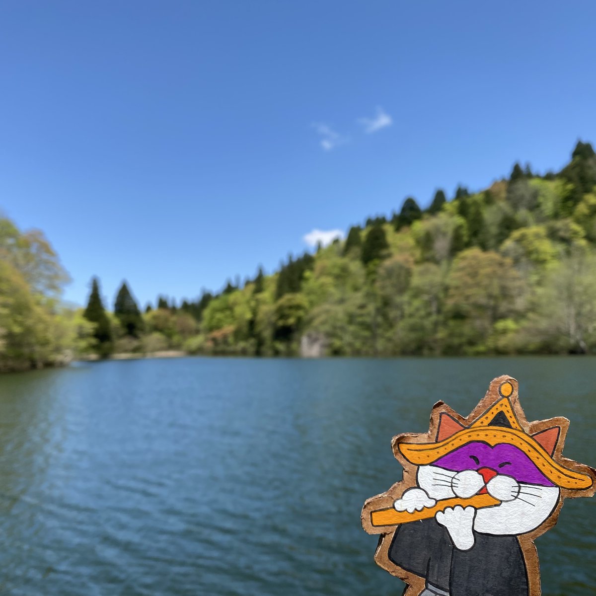 nyanto_shi's tweet photo. とある日のお散歩。いいお天気が続いてたので、すっかり緑の葉は大きくなってた水芭蕉。それでも白い仏炎包は愛らしい姿やったが。涼やかな風が吹き、優しく揺れる水芭蕉に癒されてきたが。

#にゃんと氏 #富山県 #南砺市 #城端 #水芭蕉
#japan #toyama #nanto #japantravel #japantrip #Skunkcabbage https://t.co/Pr2Rm8qqk7