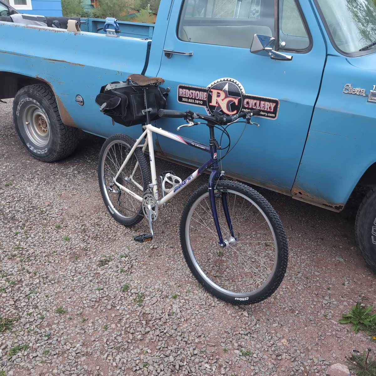 Not quite sure if there is any correlation or not but as soon as my townie started living back in the garage instead of under the tree, that weird squeaky brake thing went away...