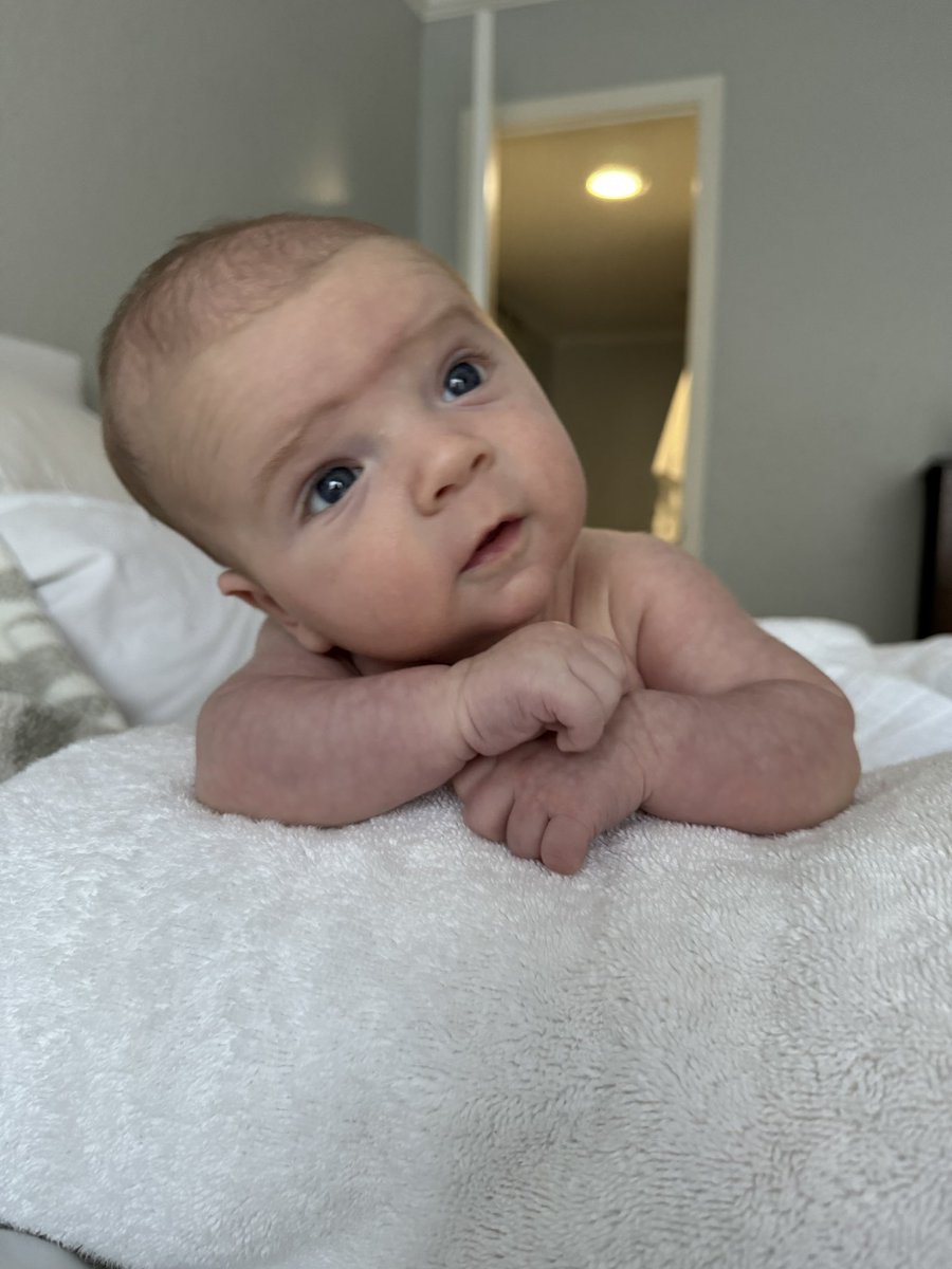 Teri Netterville tweet media