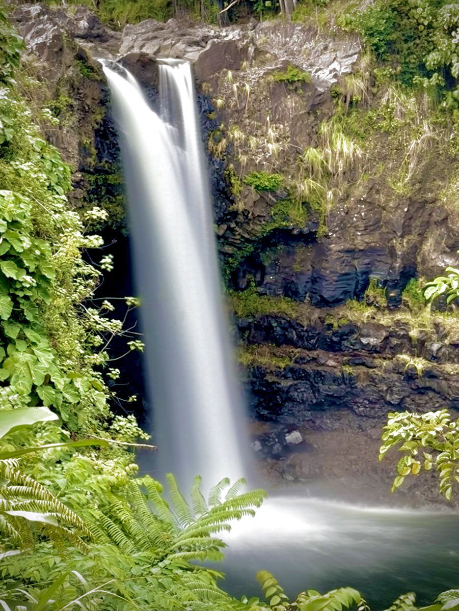 Steven Gutterman tweet media