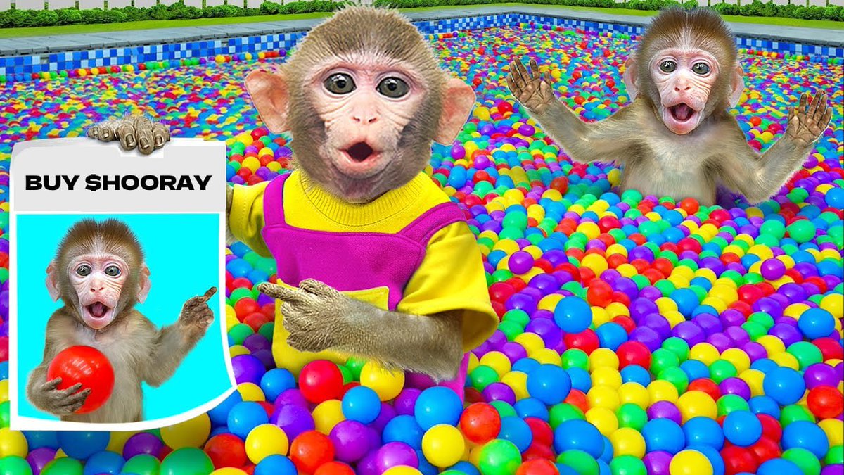 Just a reminder 👇

$HOORAY 🐒🎒