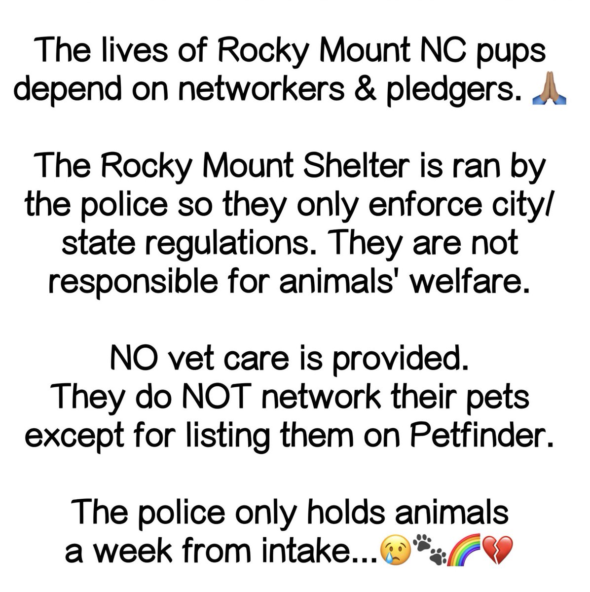 📰 Important Announcement 🚨 #RockyMount #NorthCarolina 🐶 ✨Please share our doggies in danger 🙏🏽 They will need all the help they can get #AdoptDontShop #FostersSaveLives✨
