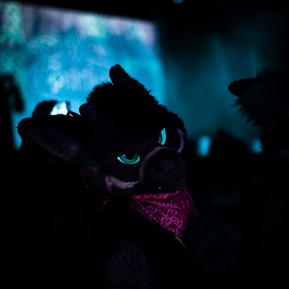 What would you do when those green glowing eyes watch you?~ Picture by @Nico_deer