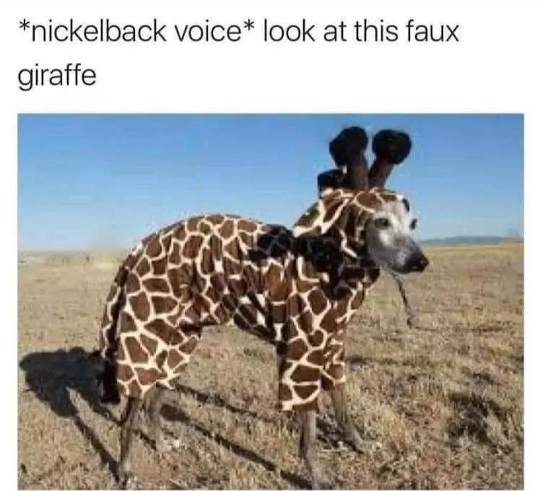 imgur's tweet photo. Every time I do it makes me laugh 😆 https://t.co/vBDjjctr6T