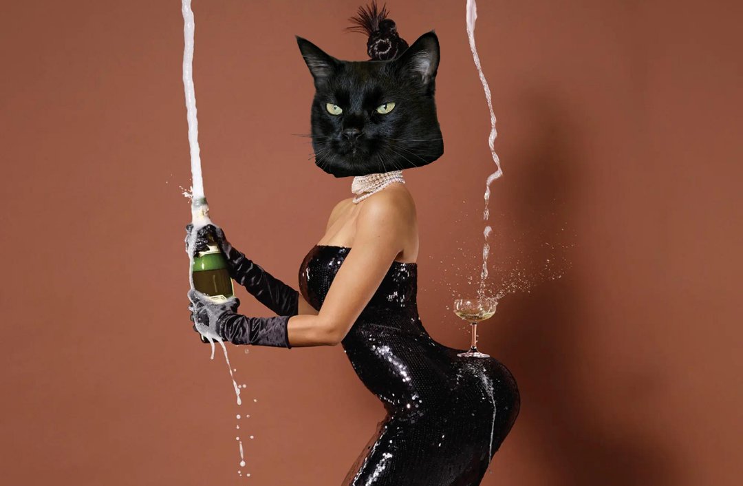 catwalk_solana's tweet photo. Poppin' bottles like a purr-fessional! 🥂😸 $Catwalk
https://t.co/PVVAOb3tVR https://t.co/c24bpy6DhL